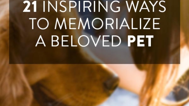 Furrever Remembered: Honoring the Lives of Beloved Pets with a Meaningful Memorial