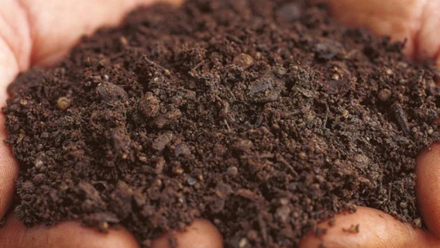 Green Thumbs Rejoice: The Ultimate Guide to Custom Fertilizers for Your Garden!