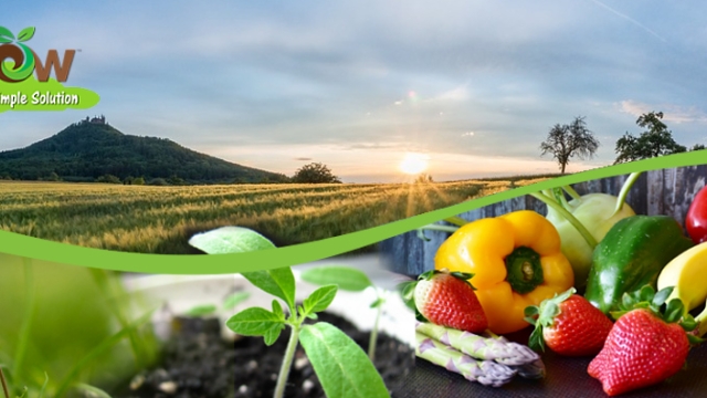 Fertilizing Naturally: Unlocking the Power of Organic Fertilizer