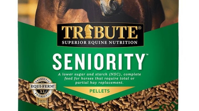 Horse Health Supplements: Unleashing the Power of Nature