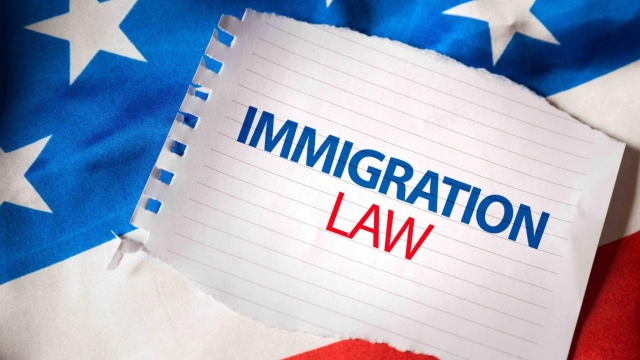 Navigating the Maze: A Guide to Immigration Law