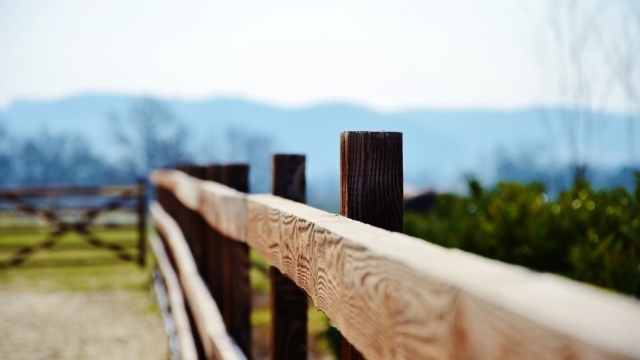 Fence Wars: Chain Link vs. Wood – Which One Reigns Supreme?