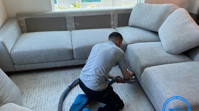 Revive Your Space: Transformative Carpet and Upholstery Cleaning Secrets