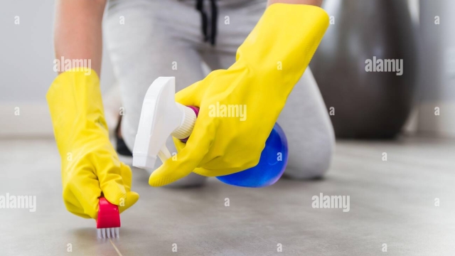 Transform Your Space: Unlocking the Magic of Professional Cleaning Services