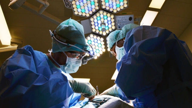 What Are Stretcher Transfer Services