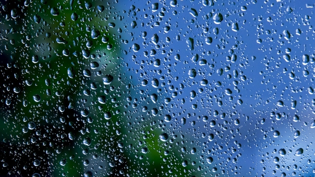 Essential Tools for Effective Window Cleaning
