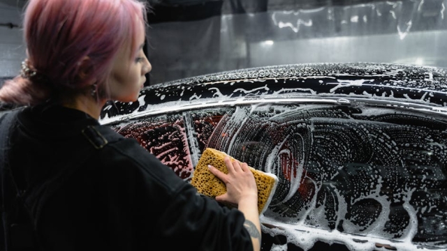 Overview of Fremont Premium Wash Services