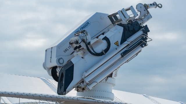 Understanding Common Fish Diseases and Their Prevention