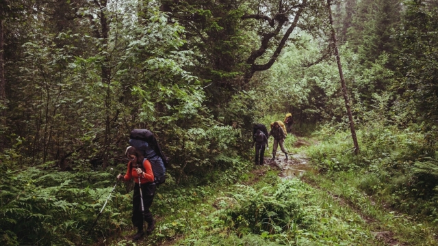 Sustainable Pool Construction Materials