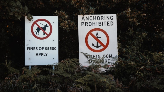 The Importance of Pool Safety Inspections